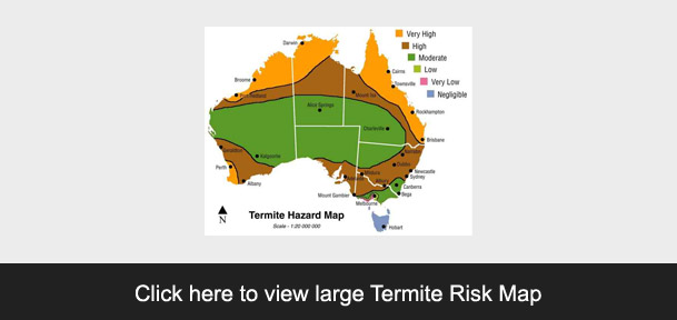 Click to view Termite Map